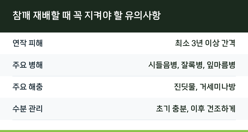 참깨 재배할 때 꼭 지켜야 할 유의사항