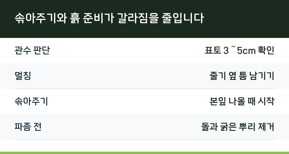솎아주기와 흙 준비가 갈라짐을 줄입니다