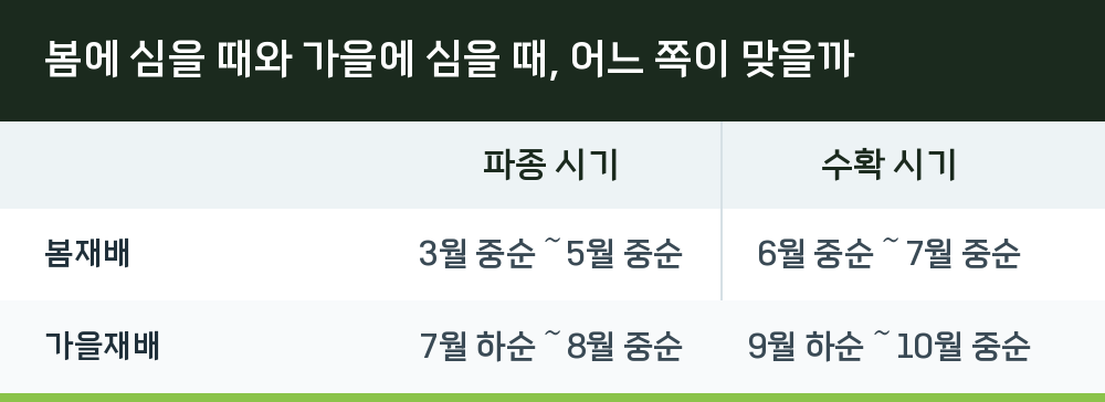 봄에 심을 때와 가을에 심을 때, 어느 쪽이 맞을까