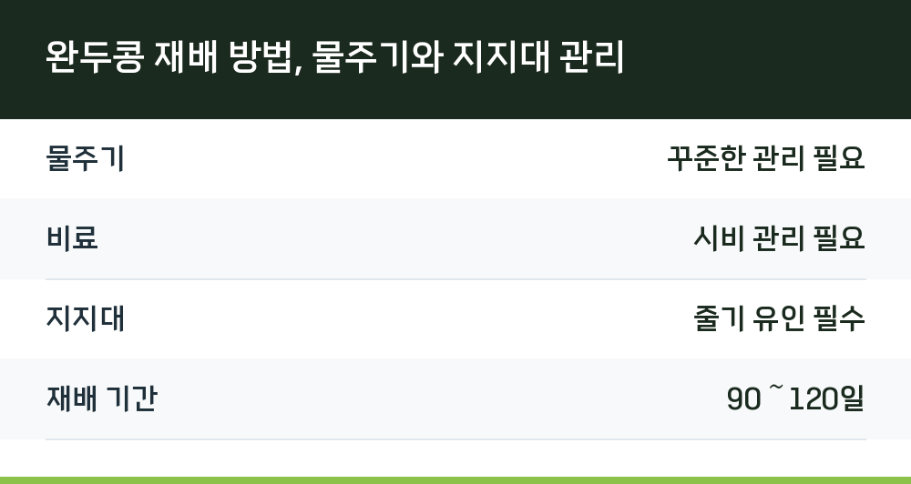 완두콩 재배 방법, 물주기와 지지대 관리
