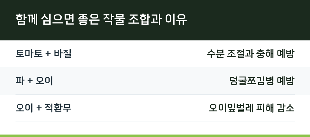 함께 심으면 좋은 작물 조합과 이유