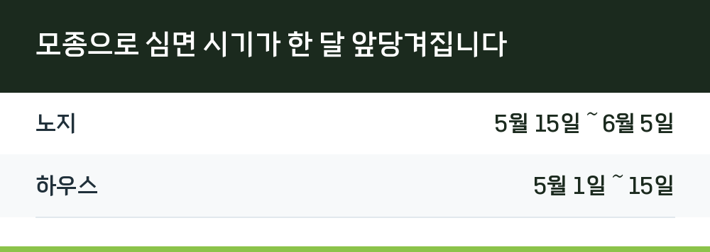 모종으로 심면 시기가 한 달 앞당겨집니다