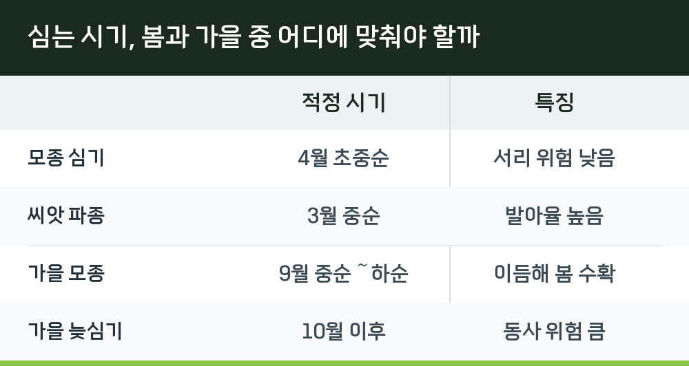 심는 시기, 봄과 가을 중 어디에 맞춰야 할까