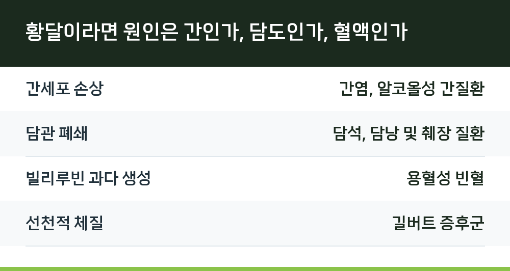 황달이라면 원인은 간인가, 담도인가, 혈액인가