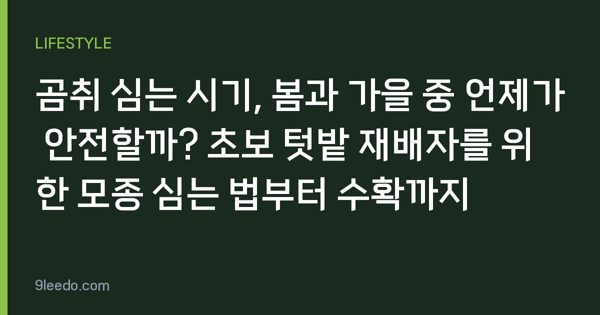 곰취 심는 시기, 봄과 가을 중 언제가 안전할까? 초보 텃밭 재배자를 위한 모종 심는 법부터 수확까지