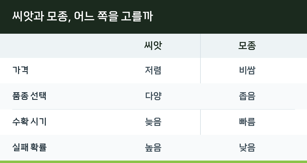 씨앗과 모종, 어느 쪽을 고를까