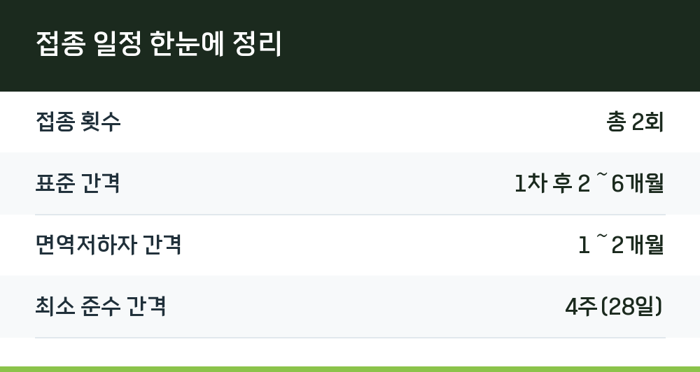 접종 일정 한눈에 정리