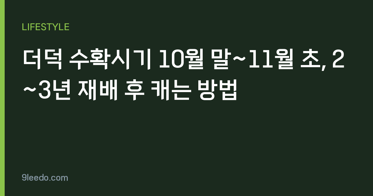 더덕 수확시기 10월 말~11월 초, 2~3년 재배 후 캐는 방법
