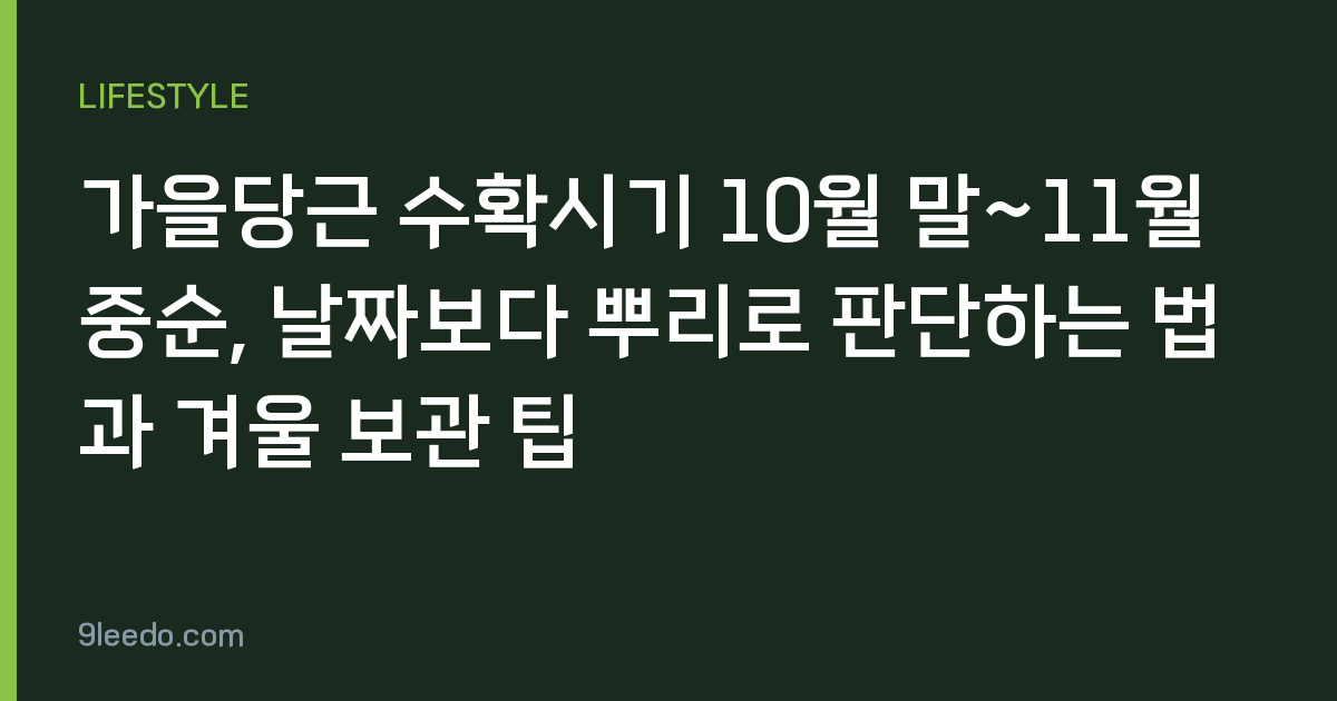 가을당근 수확시기 10월 말~11월 중순, 날짜보다 뿌리로 판단하는 법과 겨울 보관 팁