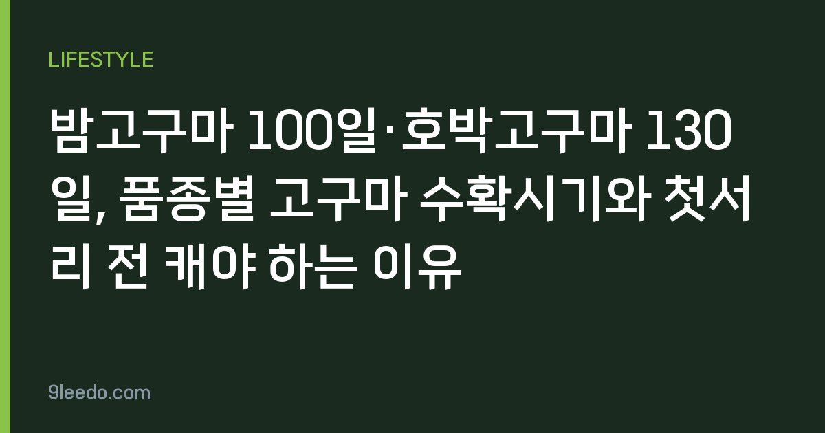 밤고구마 100일·호박고구마 130일, 품종별 고구마 수확시기와 첫서리 전 캐야 하는 이유