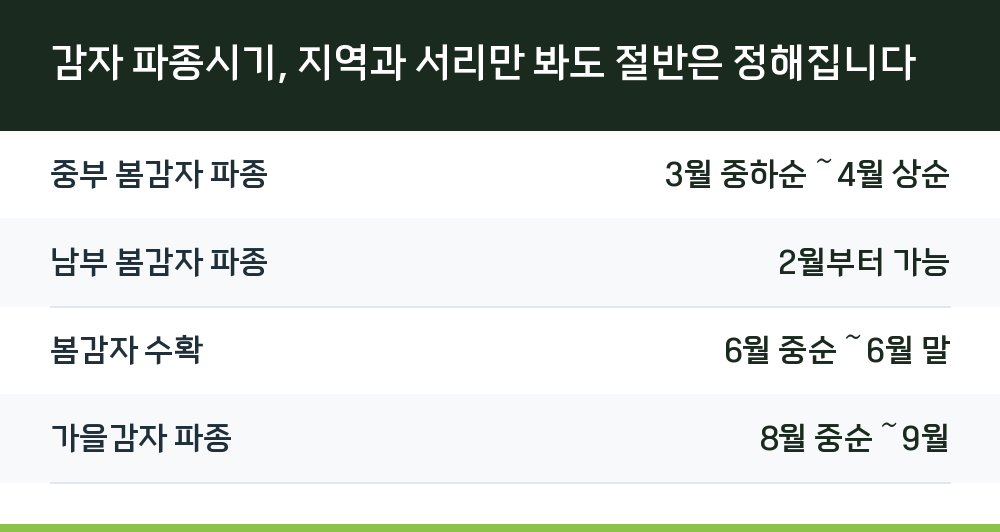 감자 파종시기, 지역과 서리만 봐도 절반은 정해집니다