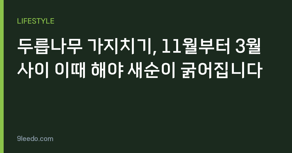 두릅나무 가지치기, 11월부터 3월 사이 이때 해야 새순이 굵어집니다