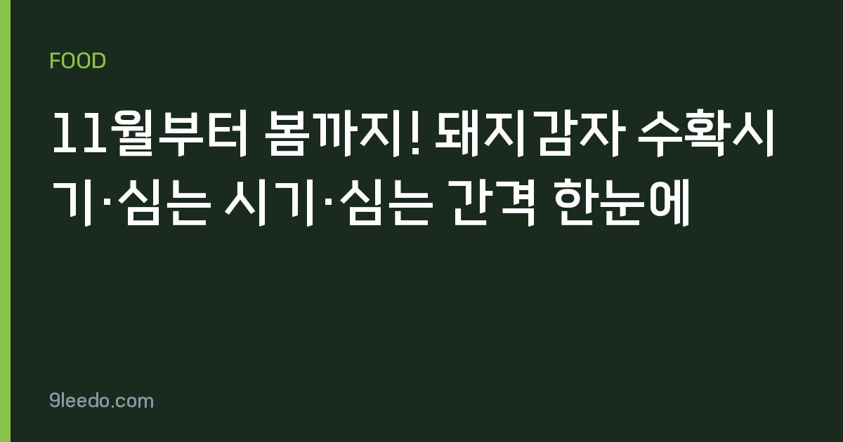 11월부터 봄까지! 돼지감자 수확시기·심는 시기·심는 간격 한눈에