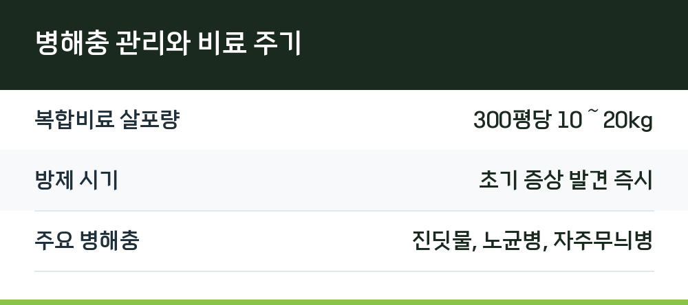 병해충 관리와 비료 주기