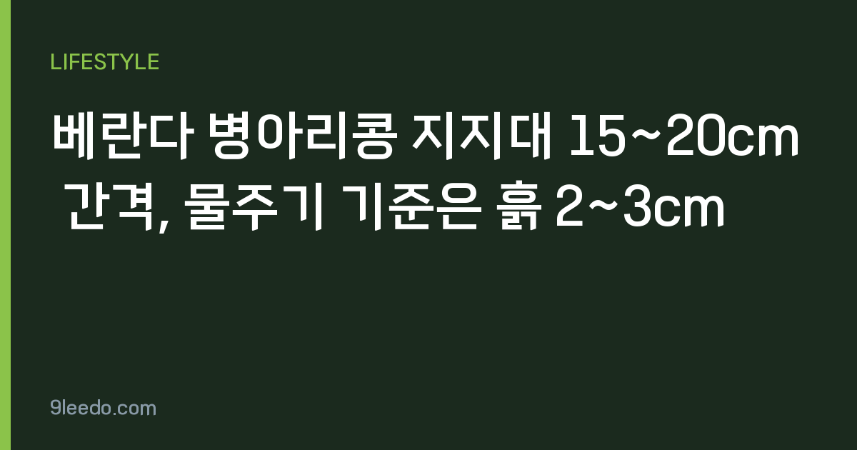 베란다 병아리콩 지지대 15~20cm 간격, 물주기 기준은 흙 2~3cm