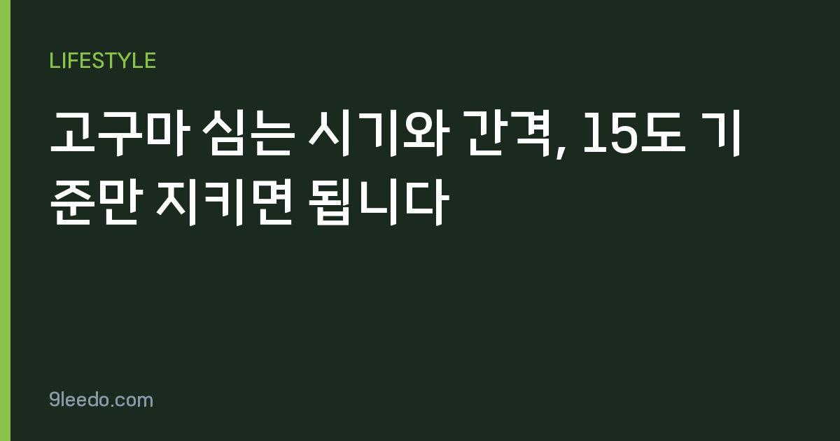 고구마 심는 시기와 간격, 15도 기준만 지키면 됩니다