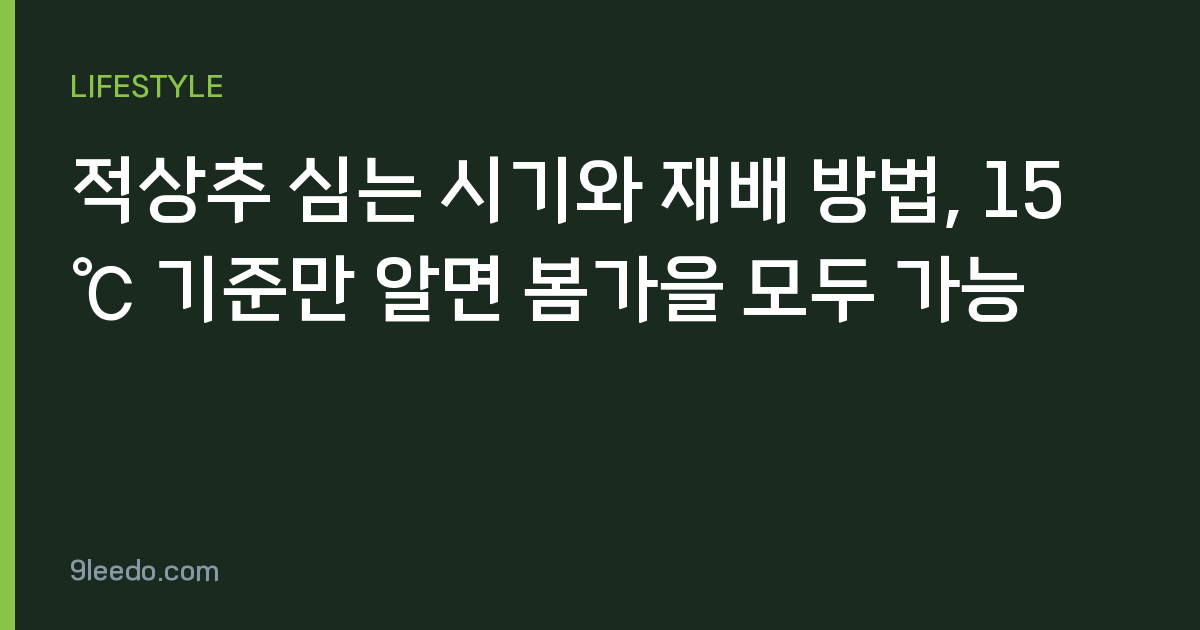 적상추 심는 시기와 재배 방법, 15℃ 기준만 알면 봄가을 모두 가능
