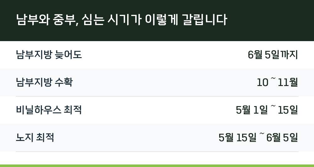 남부와 중부, 심는 시기가 이렇게 갈립니다