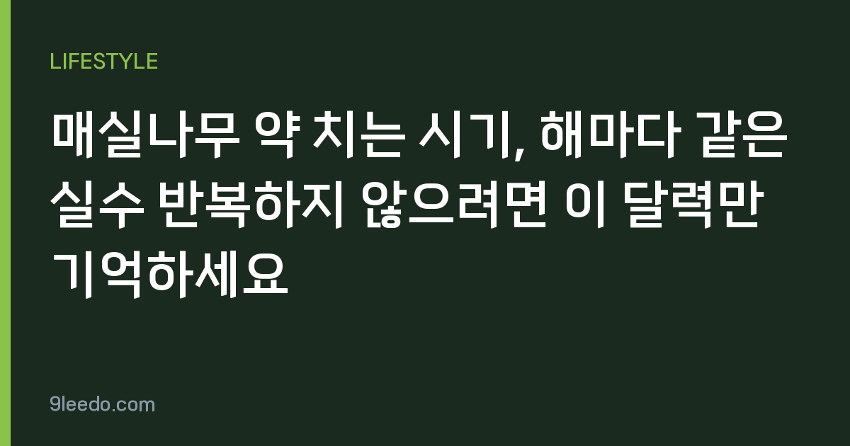 매실나무 약 치는 시기, 해마다 같은 실수 반복하지 않으려면 이 달력만 기억하세요
