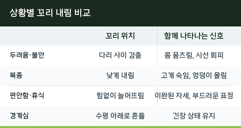 상황별 꼬리 내림 비교