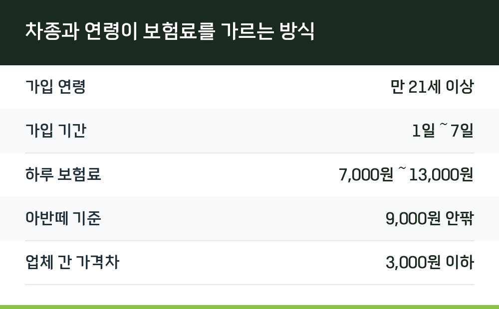 차종과 연령이 보험료를 가르는 방식