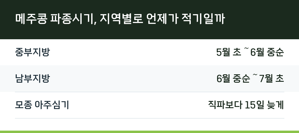 메주콩 파종시기, 지역별로 언제가 적기일까