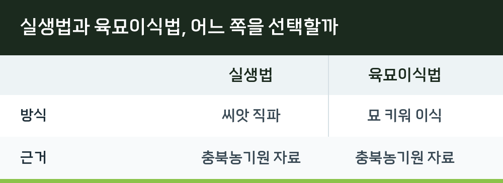 실생법과 육묘이식법, 어느 쪽을 선택할까