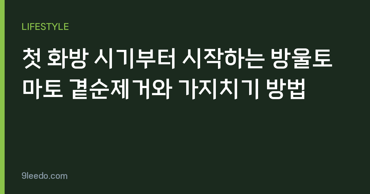 첫 화방 시기부터 시작하는 방울토마토 곁순제거와 가지치기 방법