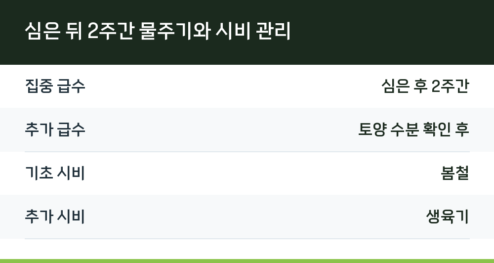 심은 뒤 2주간 물주기와 시비 관리