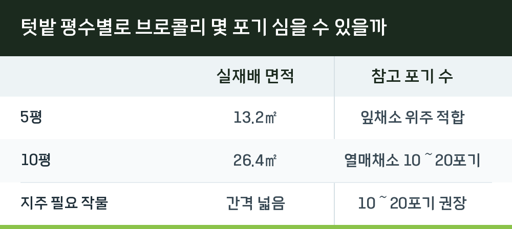 텃밭 평수별로 브로콜리 몇 포기 심을 수 있을까