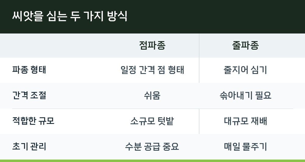 씨앗을 심는 두 가지 방식