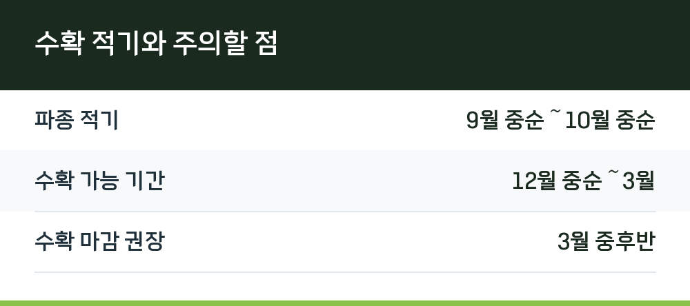 수확 적기와 주의할 점
