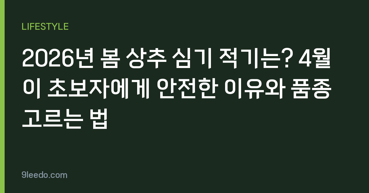 2026년 봄 상추 심기 적기는? 4월이 초보자에게 안전한 이유와 품종 고르는 법