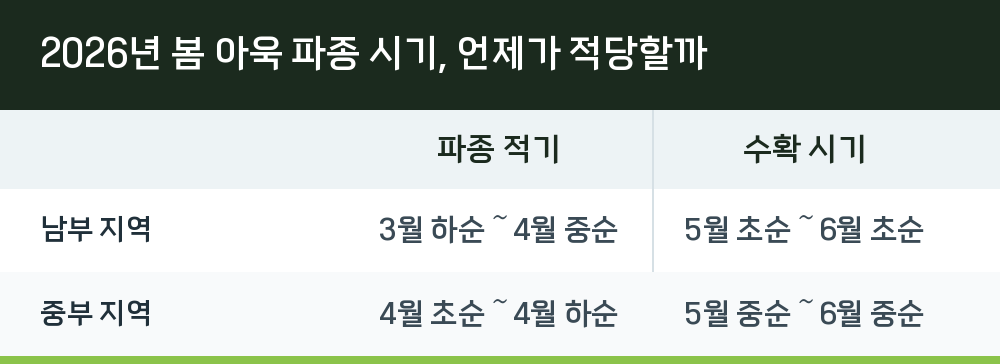 2026년 봄 아욱 파종 시기, 언제가 적당할까