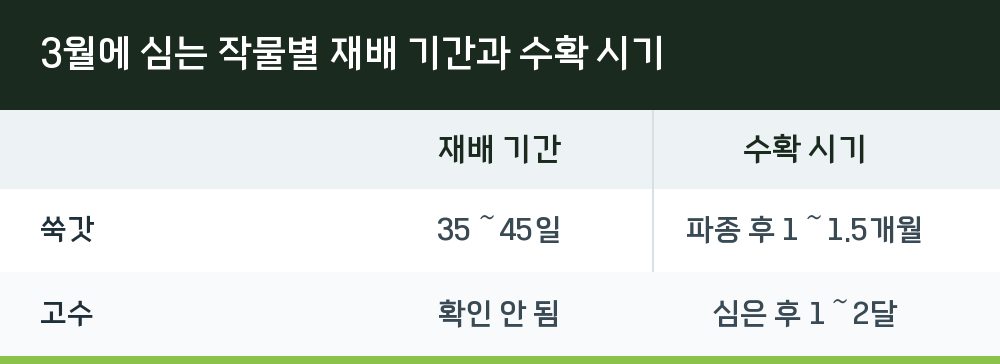 3월에 심는 작물별 재배 기간과 수확 시기