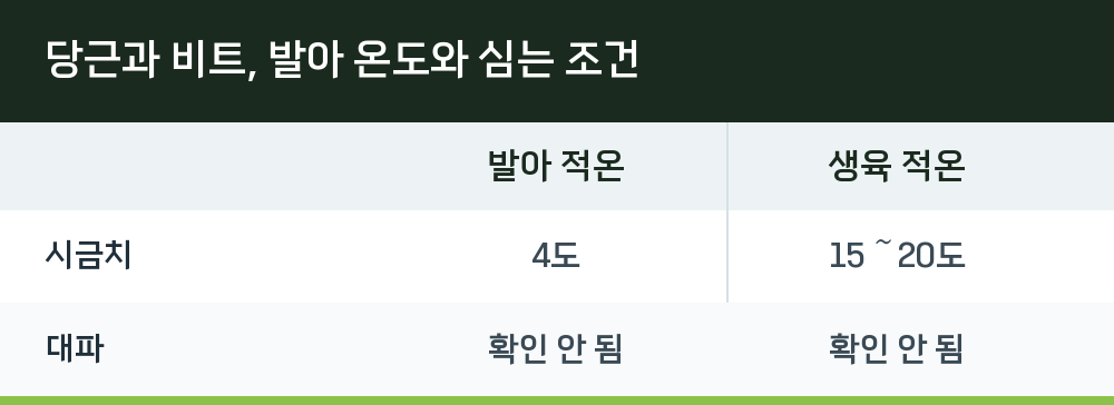 당근과 비트, 발아 온도와 심는 조건