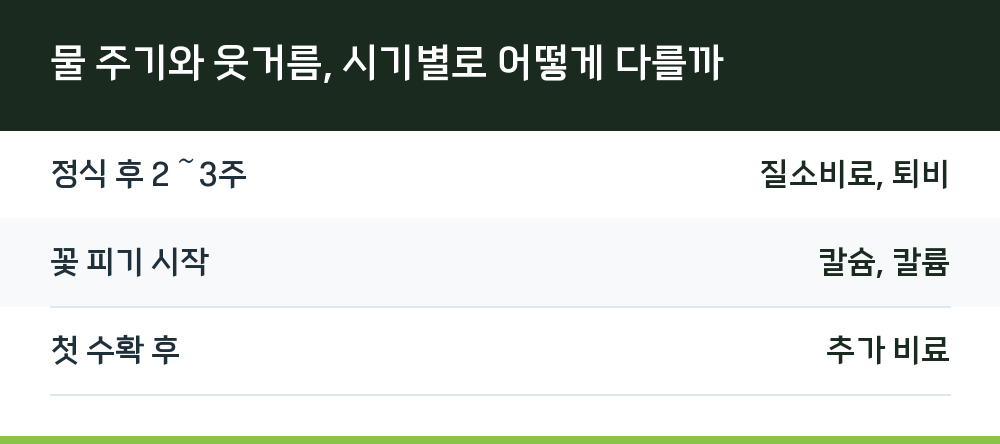 물 주기와 웃거름, 시기별로 어떻게 다를까