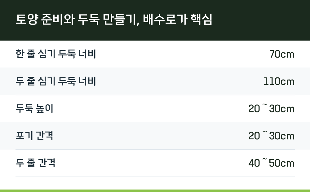 토양 준비와 두둑 만들기, 배수로가 핵심