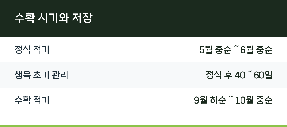 수확 시기와 저장