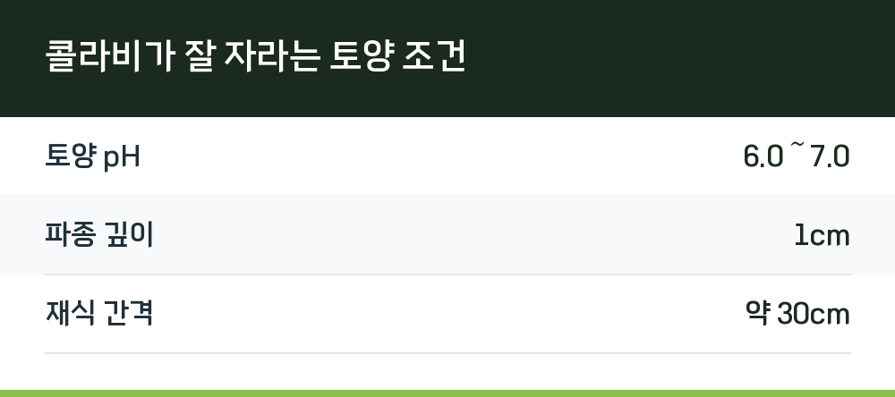 콜라비가 잘 자라는 토양 조건