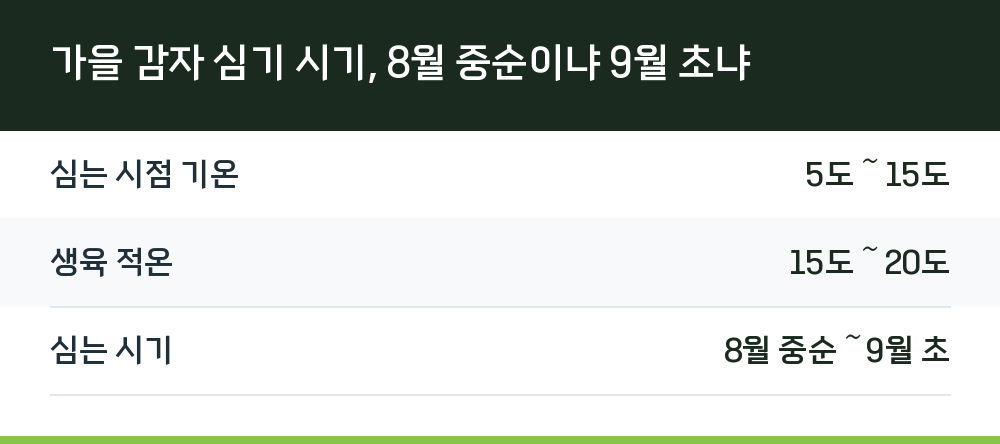 가을 감자 심기 시기, 8월 중순이냐 9월 초냐