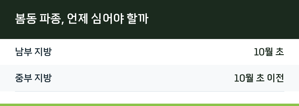 봄동 파종, 언제 심어야 할까