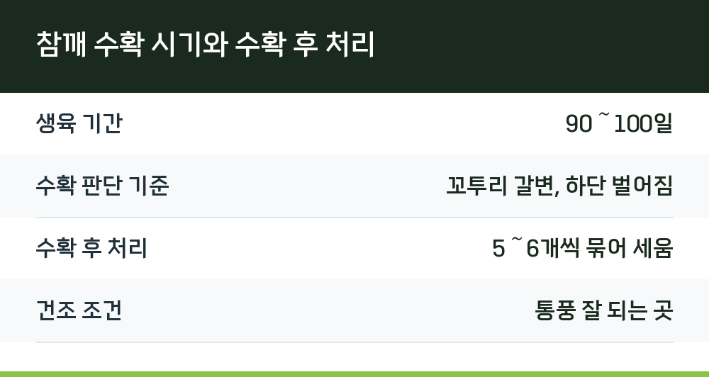 참깨 수확 시기와 수확 후 처리