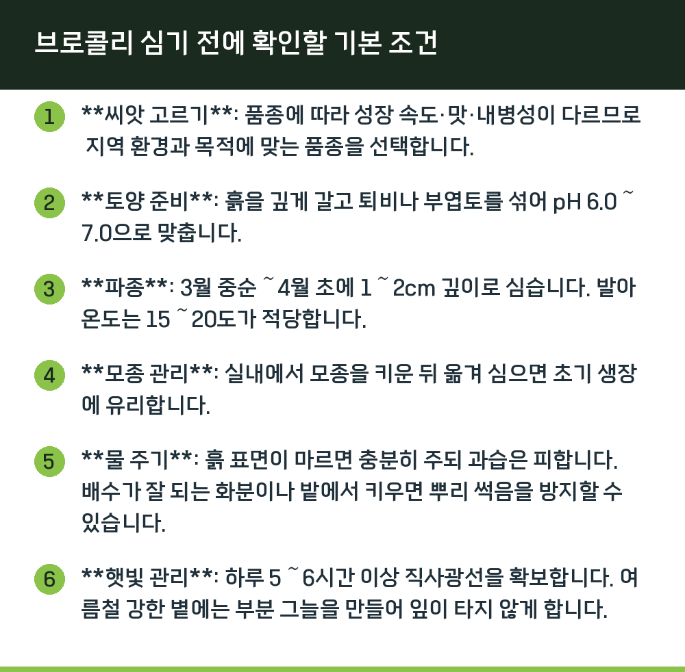 브로콜리 심기 전에 확인할 기본 조건