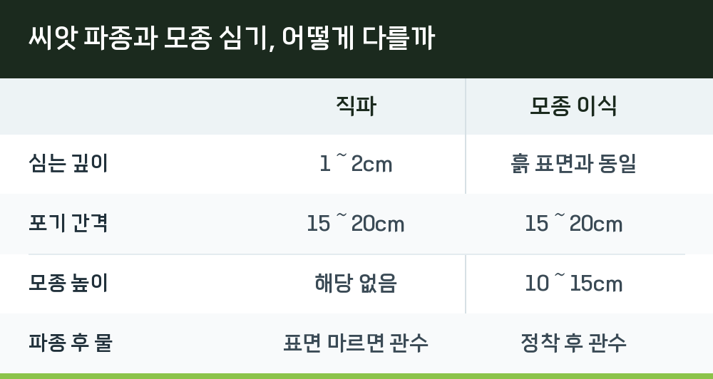 씨앗 파종과 모종 심기, 어떻게 다를까