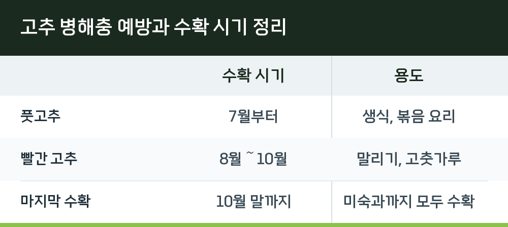 고추 병해충 예방과 수확 시기 정리
