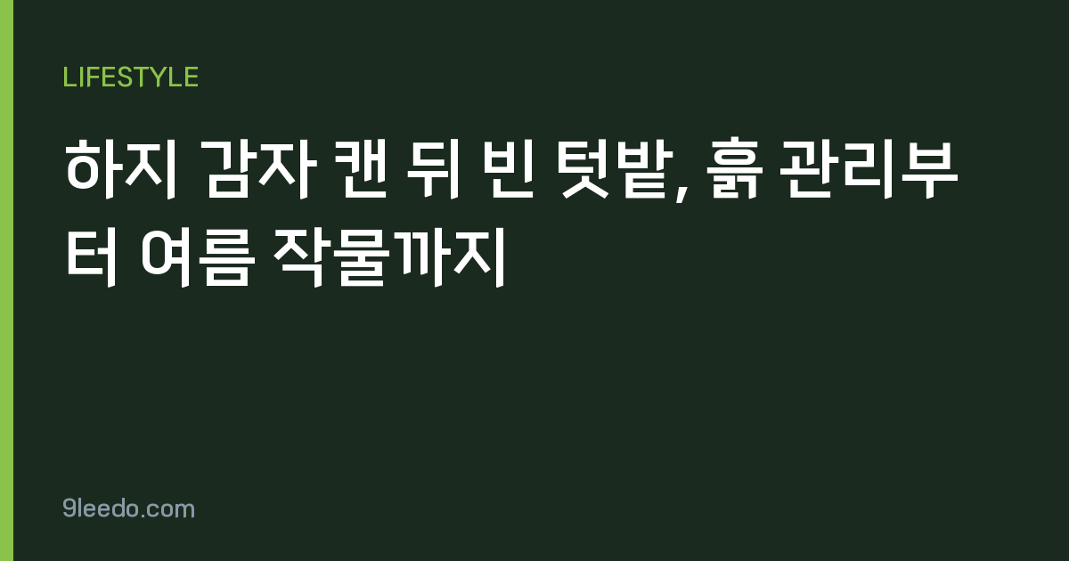 하지 감자 캔 뒤 빈 텃밭, 흙 관리부터 여름 작물까지