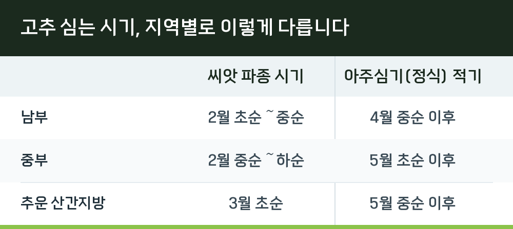 고추 심는 시기, 지역별로 이렇게 다릅니다