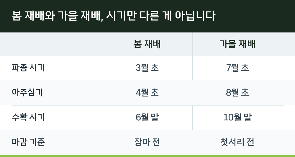 봄 재배와 가을 재배, 시기만 다른 게 아닙니다