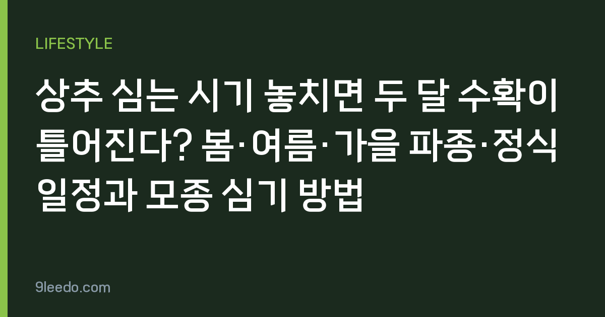 상추 심는 시기 놓치면 두 달 수확이 틀어진다? 봄·여름·가을 파종·정식 일정과 모종 심기 방법